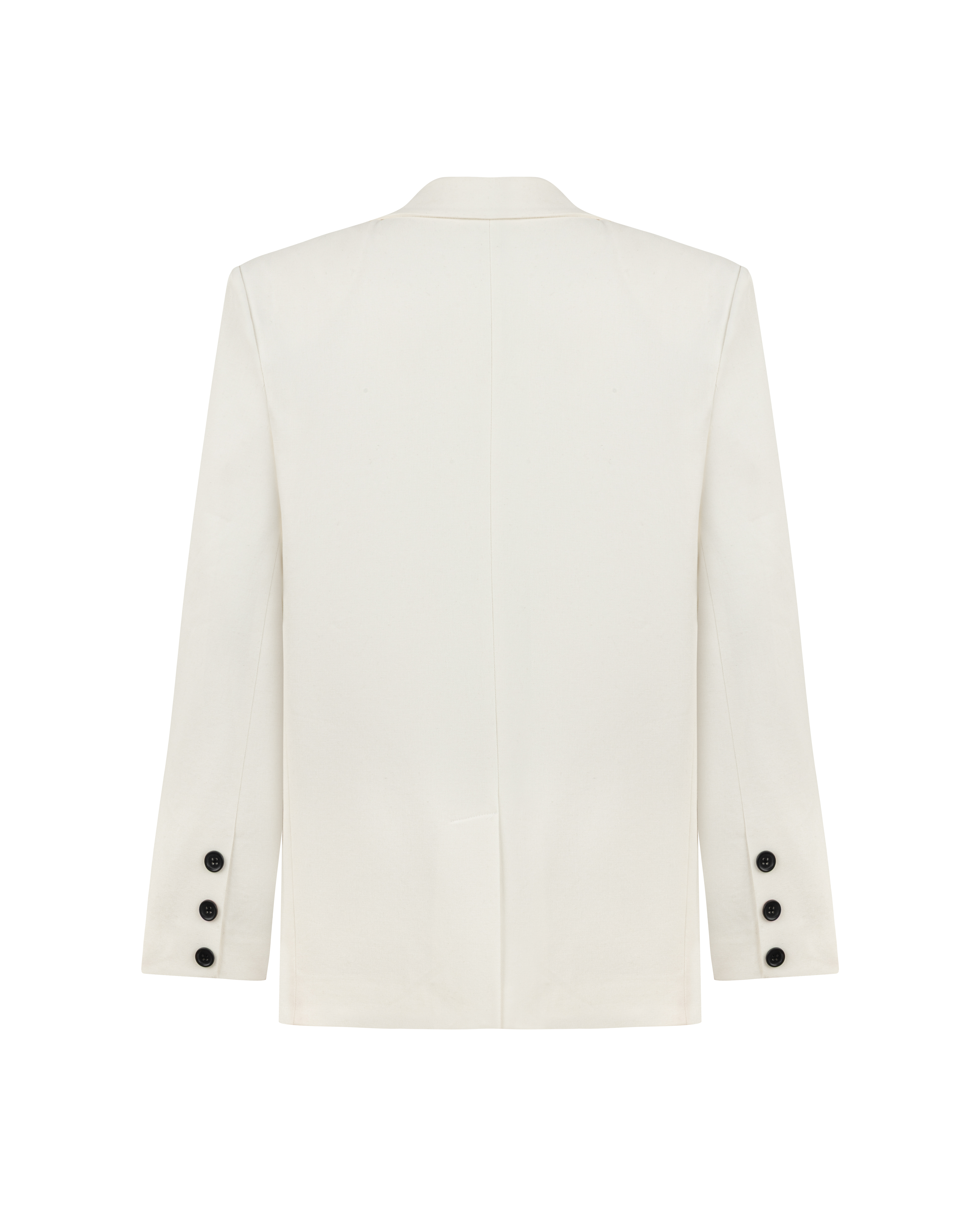 ASTRA BLAZER JACKET alternate